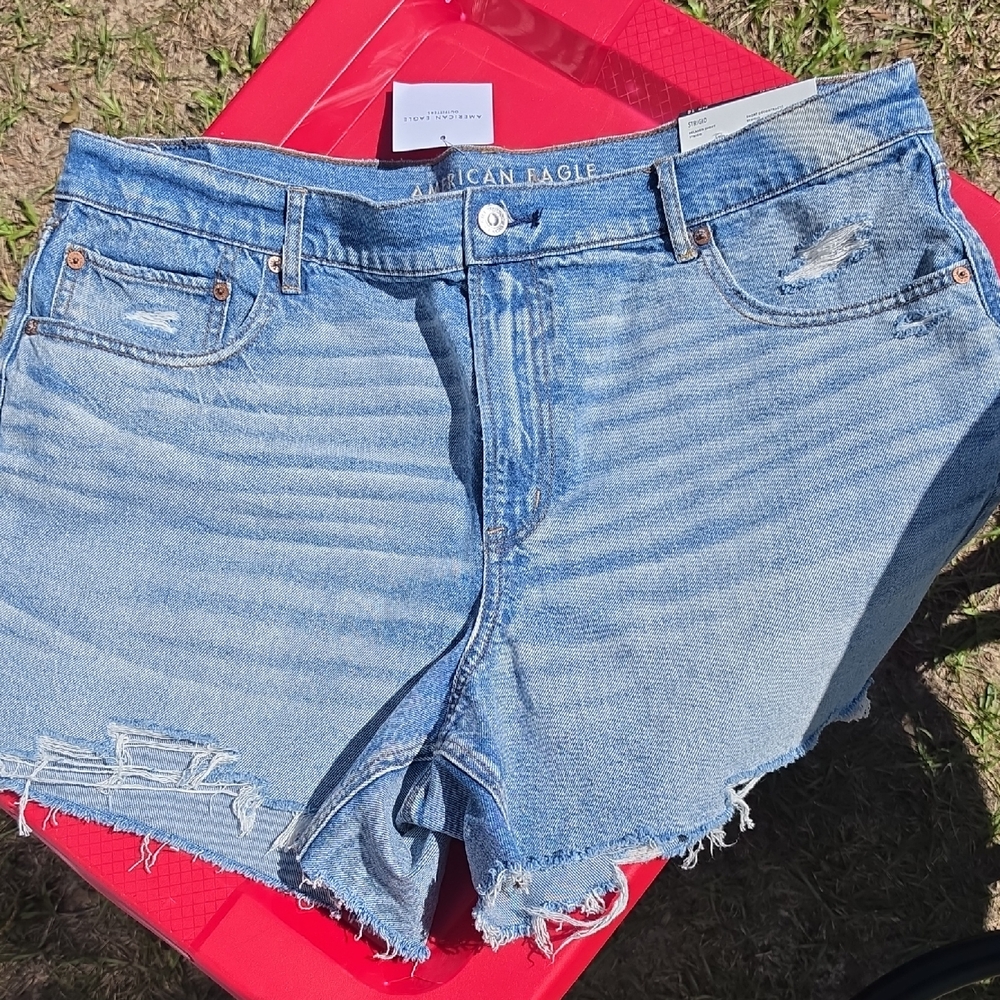 American Eagle Outfitters Light Wash Distressed Denim Shorts